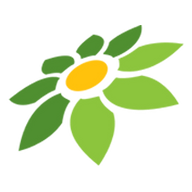 LINK JAMINSLOT